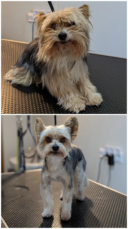 Pablo