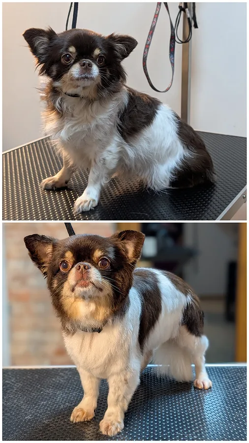 Bella